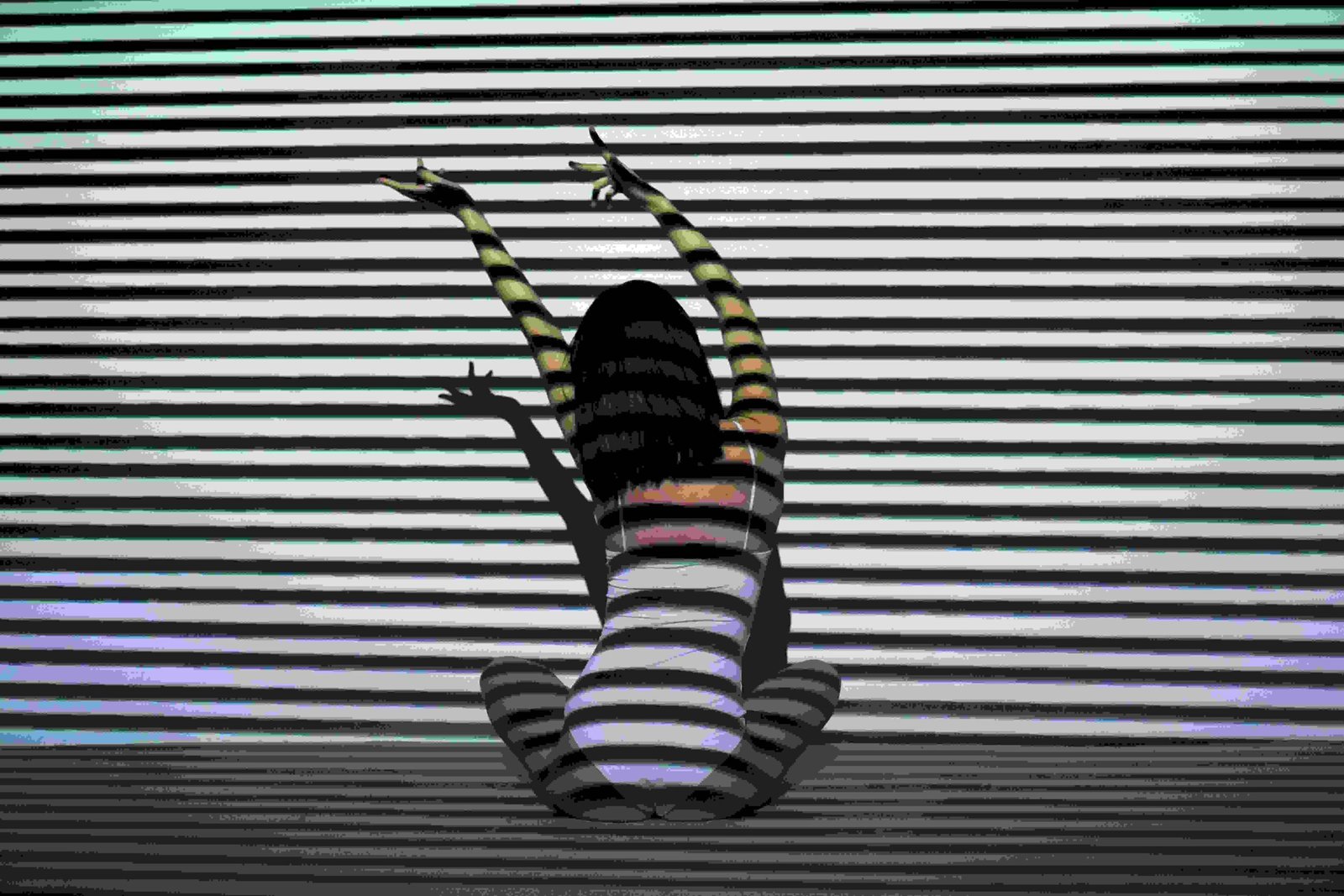 Projection Mapping Software